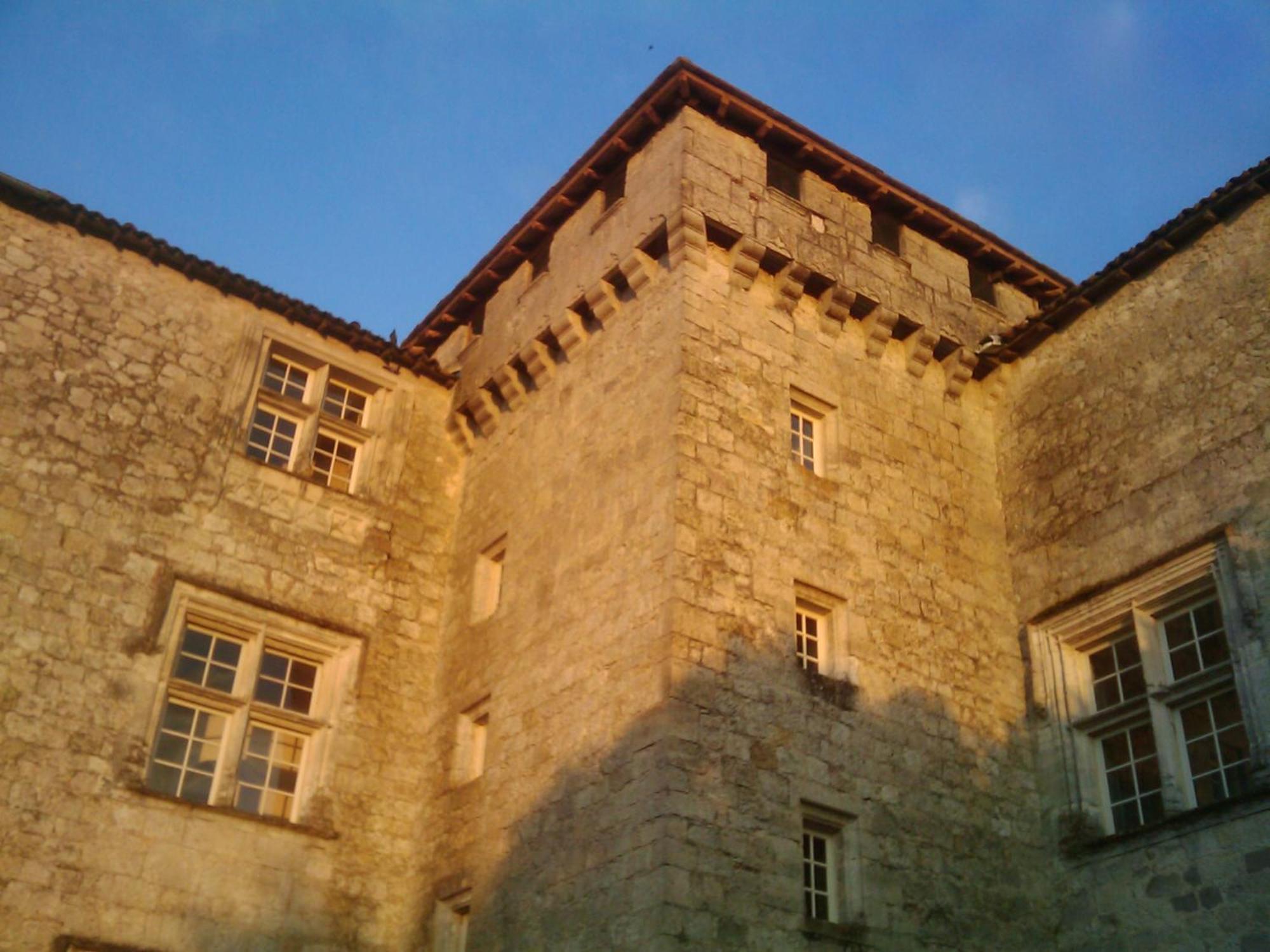 Chateau De Fourcès Buitenkant foto